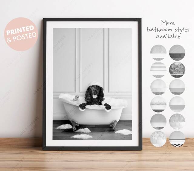 Black & White Print Cocker Spaniel Dog in A Bath Print, Bathing, Funny Bathroom Animal Bathtub, Dog Tub - image 1