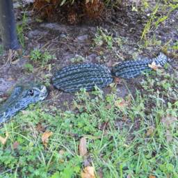 3Pc Alligator Statue 32 Inches - thumbnail 4