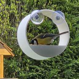 Window Bird Seed Feeder - Modern Design With Lip - Secure Suction Cups By 3Dandfun - thumbnail 3