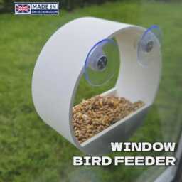 Window Bird Seed Feeder - Modern Design With Lip - Secure Suction Cups By 3Dandfun - thumbnail 2