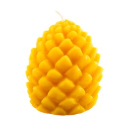 Candle Made Of 100% Beeswax Pine Cones Golden Yellow Handmade Quality Wick From Germany Honey Scent Natural Candle Pure