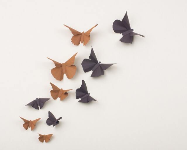 3D Wall Butterflies Butterfly Art For Nursery, Wedding Or Home Decor in Latte & Chocolate - image 1