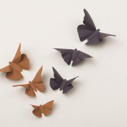 3D Wall Butterflies Butterfly Art For Nursery, Wedding Or Home Decor in Latte & Chocolate - thumbnail 3