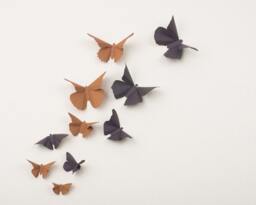 3D Wall Butterflies Butterfly Art For Nursery, Wedding Or Home Decor in Latte & Chocolate - thumbnail 1