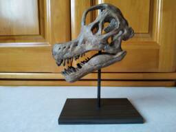 17cm???dinosaur Model/Brachiosaurus Skull Small Model Wl-001 - thumbnail 1