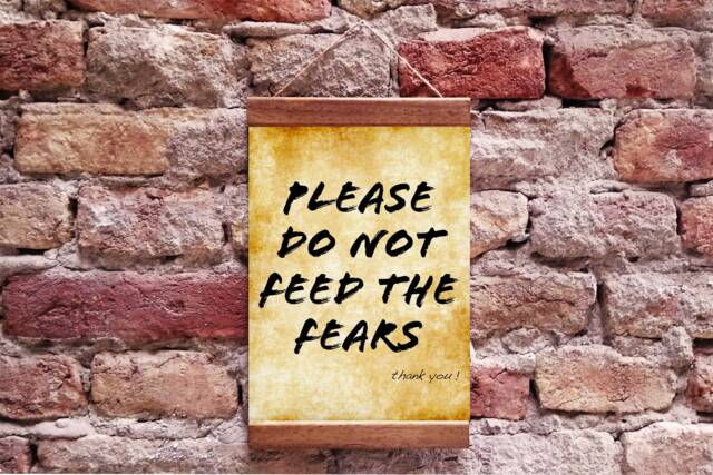 Please Do Not Feed The Fears Wood Framed Canvas Print, Home Decor Wall Art Print - image 1