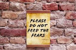 Please Do Not Feed The Fears Wood Framed Canvas Print, Home Decor Wall Art Print - thumbnail 1