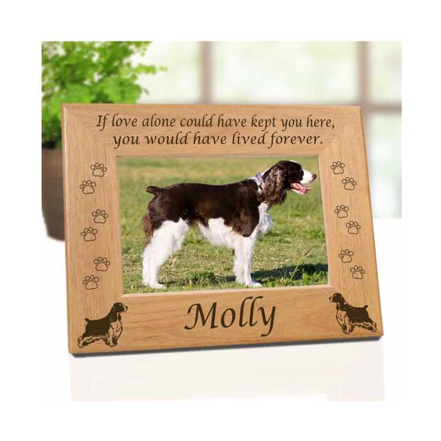 Springer Spaniel Gift, English Dog Memorial Picture Frame Personalized With Pet Name & Choice Of 3 Remembrance Quotes - image 1