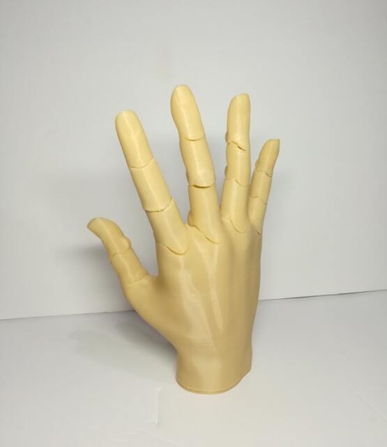 3D Printed Articulated Hand Large Posable Mannequin - image 1