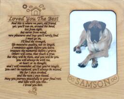8x10 Pet Memorial Insert Only For Picture Frame Dog Cat Gifts Frames Horse - thumbnail 1