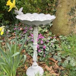 Metal Cast Iron Hummingbird Flower Bird Bath/Feeder Statue Garden Ornament - thumbnail 2