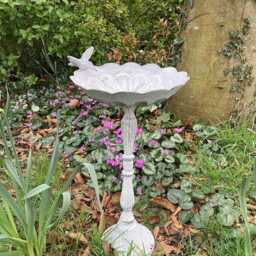 Metal Cast Iron Hummingbird Flower Bird Bath/Feeder Statue Garden Ornament - thumbnail 4