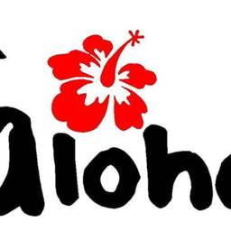 Hawaiian Aloha Wall Decal - Hibiscus Flower Sticker Boho Decor Modern Art - Vwaq 1086 - thumbnail 2