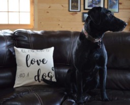 All You Need Is Love & A Dog Hand-Painted Pillow, Lover Gift - thumbnail 1