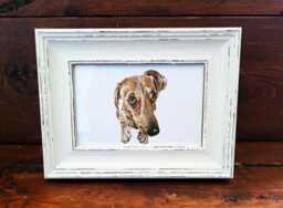 Dachshund Print 17x12cm - White Rustic Frame - Sausage Dog Wall Art, Gift For Doxie Lovers