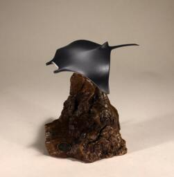John Perry Manta Ray Sculpture - Pellucida Resin, Burlwood Base - thumbnail 1