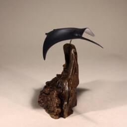 John Perry Manta Ray Sculpture - Pellucida Resin, Burlwood Base - thumbnail 2
