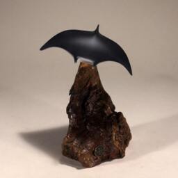 John Perry Manta Ray Sculpture - Pellucida Resin, Burlwood Base - thumbnail 3