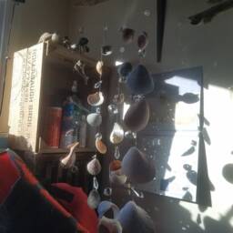 Authentic Mobiles Or Suncatchers Made With Real Shells & Local Driftwood - thumbnail 2