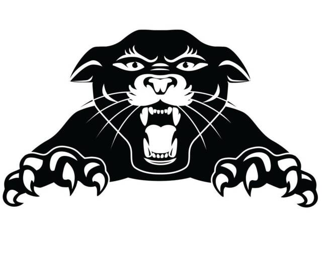 Panther Claws Puma Car Bonnet Side Sticker Van Vinyl Decal Wall Art Hood Graphic Window Door Body Panel Sign Motorhome Camper