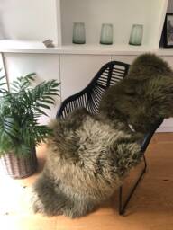 Green Sheepskin Rug, Genuine Sheepskin, Interior Design , Retro Accessories Fur Hygge Bed Throw, Chair Cover - thumbnail 1