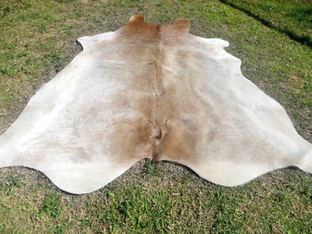 Beige Light Brown Large New Cowhide Rug Natural Hair On - 6x6 Ft Size Approx Tri-Color Brown Tones Soft Carpet Cow Hide E-B - image 1