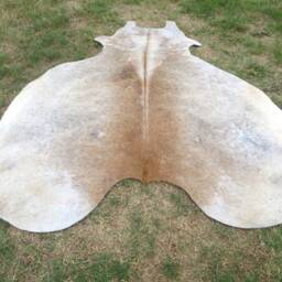 Beige Light Brown Large New Cowhide Rug Natural Hair On - 6x6 Ft Size Approx Tri-Color Brown Tones Soft Carpet Cow Hide E-B - thumbnail 4