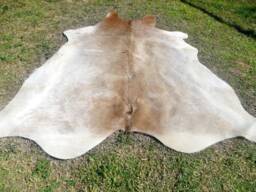 Beige Light Brown Large New Cowhide Rug Natural Hair On - 6x6 Ft Size Approx Tri-Color Brown Tones Soft Carpet Cow Hide E-B - thumbnail 1
