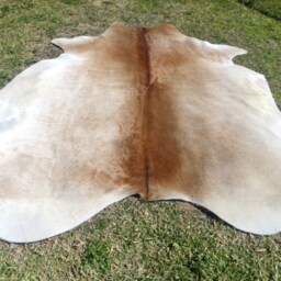 Beige Light Brown Large New Cowhide Rug Natural Hair On - 6x6 Ft Size Approx Tri-Color Brown Tones Soft Carpet Cow Hide E-B - thumbnail 2