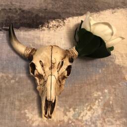 Magnolia Skull Wall Decor, Georgia O'keefe Inspired - thumbnail 4