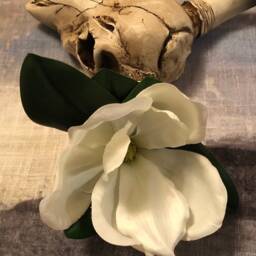 Magnolia Skull Wall Decor, Georgia O'keefe Inspired - thumbnail 3