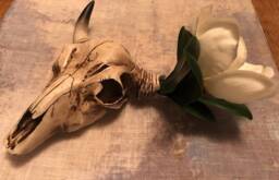Magnolia Skull Wall Decor, Georgia O'keefe Inspired - thumbnail 1