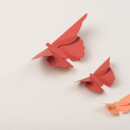 3D Wall Butterflies Butterfly Art For Nursery, Wedding Or Home Decor in Coral & Terracotta - thumbnail 3