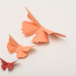3D Wall Butterflies Butterfly Art For Nursery, Wedding Or Home Decor in Coral & Terracotta - thumbnail 2