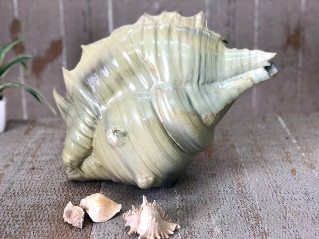 Pottery Seashell - Ceramic Sculpture - image 1