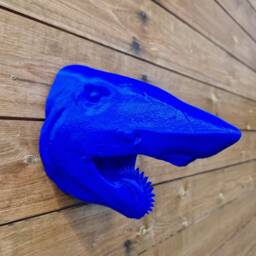 Helicoprion Wall Art - Prehistoric Animal Mount- 3D Printed - thumbnail 3