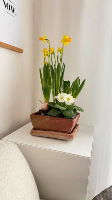 Square Flower Pot Of Terracotta/ Farmhouse & Cottage Style/ Romantic French/ Cosy Piece For Spring Summer Flowers