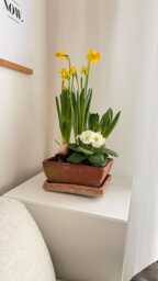 Square Flower Pot Of Terracotta/ Farmhouse & Cottage Style/ Romantic French/ Cosy Piece For Spring Summer Flowers