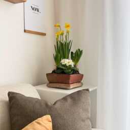 Square Flower Pot Of Terracotta/ Farmhouse & Cottage Style/ Romantic French/ Cosy Piece For Spring Summer Flowers - thumbnail 2