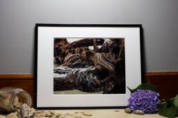 Island Series Driftwood, Nature Photography, Wall Art, Bedroom Decor, Living Room Peaceful Photography Prints - thumbnail 1