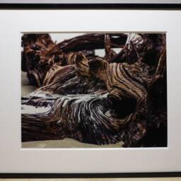 Island Series Driftwood, Nature Photography, Wall Art, Bedroom Decor, Living Room Peaceful Photography Prints - thumbnail 2