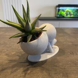 Wee Jimmy Crow Pose Yoga Crow Pose Yogi Succulent Plant Pot - Ships From Usa - thumbnail 2