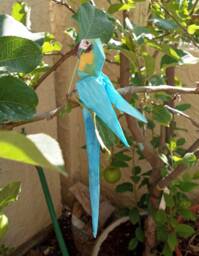 Hand Painted Origami Parrot - thumbnail 1