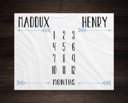 Twin Baby Milestone Blanket Month Growth Tracker Fleece Shower Newborn Gift Minky Boy Girl - thumbnail 1