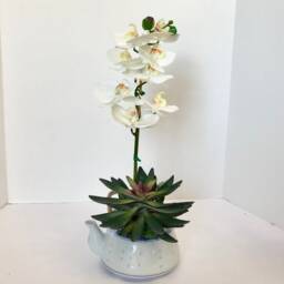 Decorative Planter in Jing De Zhen Translucent Rice Grain Teapot With A White Silk Orchid - thumbnail 2