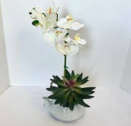 Decorative Planter in Jing De Zhen Translucent Rice Grain Teapot With A White Silk Orchid - thumbnail 1