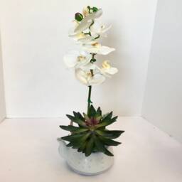 Decorative Planter in Jing De Zhen Translucent Rice Grain Teapot With A White Silk Orchid - thumbnail 3