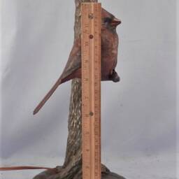Original Solid Bronze Red Cardinal Bird Sculpture Lamp~Lifesize Songbird Light - thumbnail 3