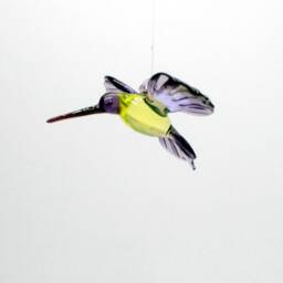 36-250 Hummingbird Tina - thumbnail 2