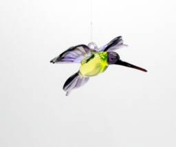 36-250 Hummingbird Tina